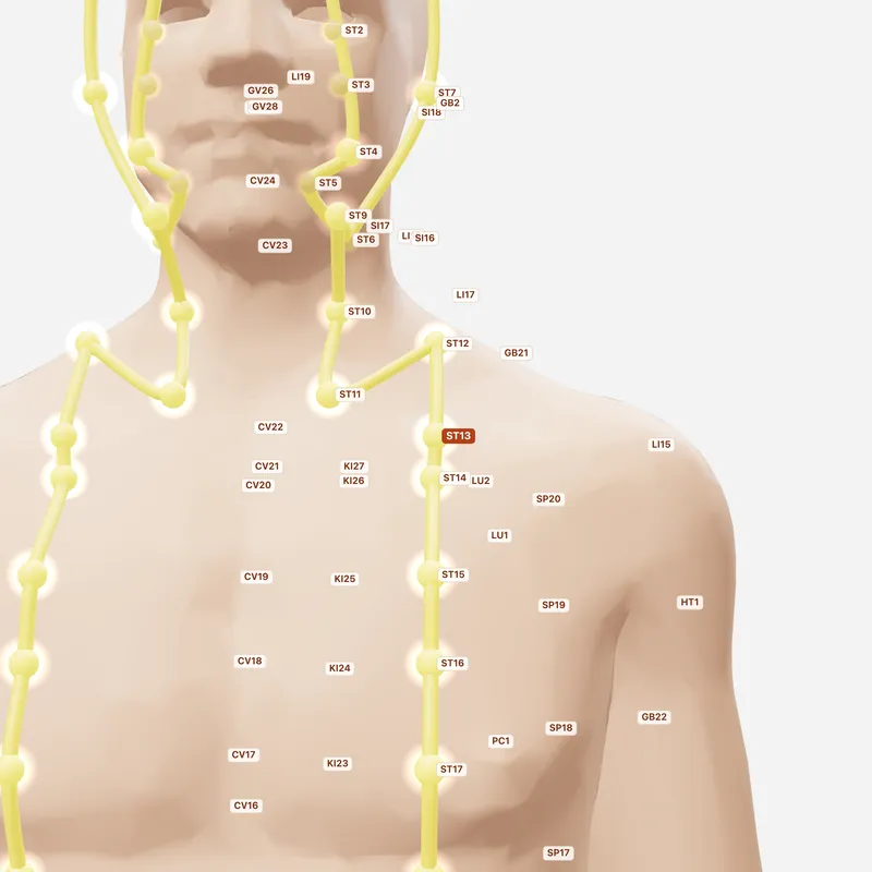 Huyệt Khí Hộ — huyệt lân cận