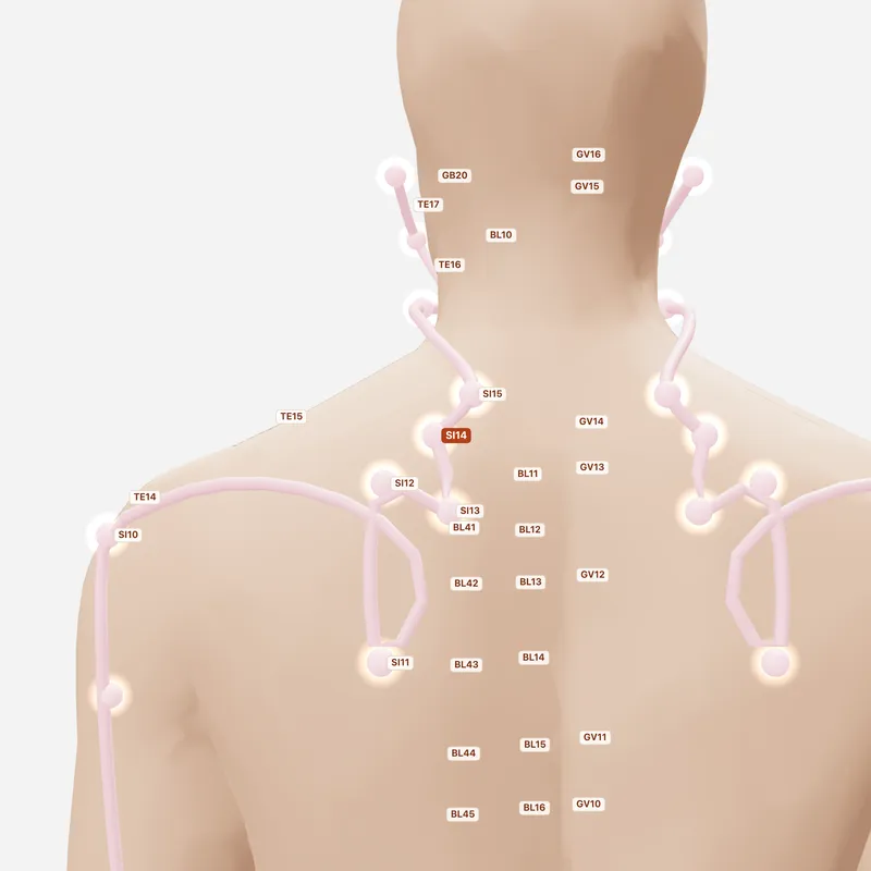Huyệt Kiên Ngoại Du — huyệt lân cận