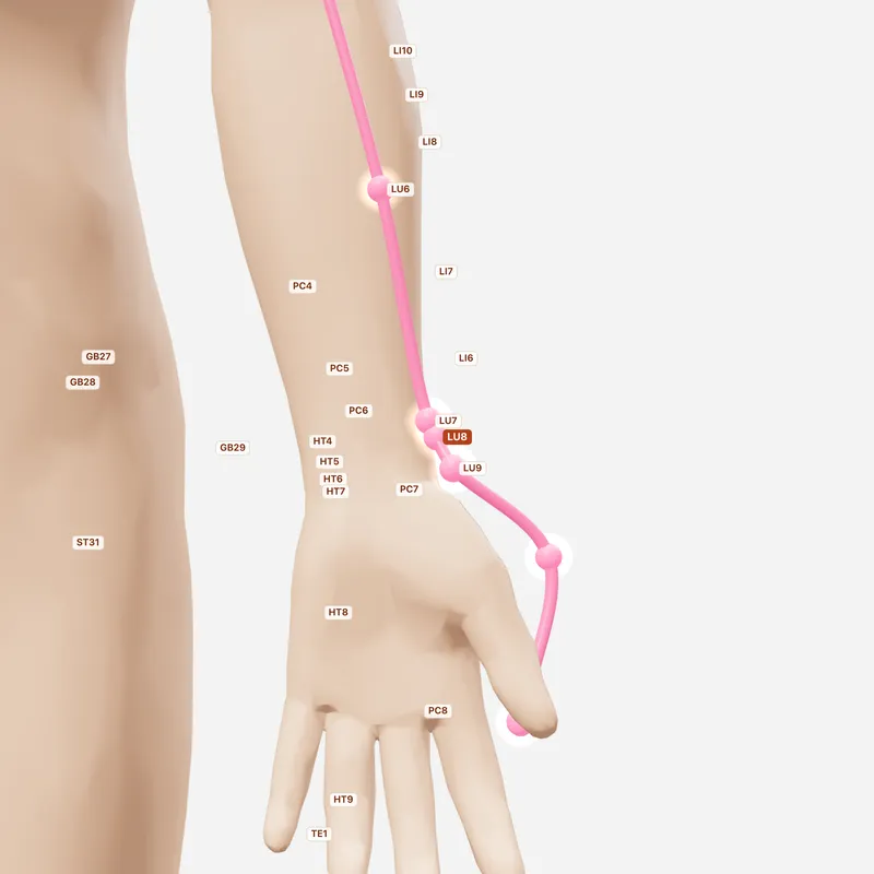 Huyệt Kinh Cừ — huyệt lân cận