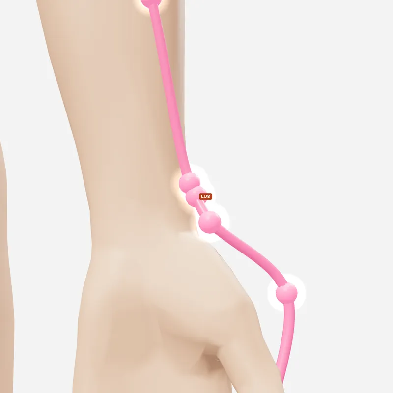Huyệt Kinh Cừ — trên da