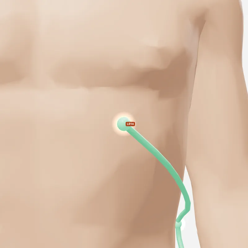 Huyệt Kỷ Môn — trên da