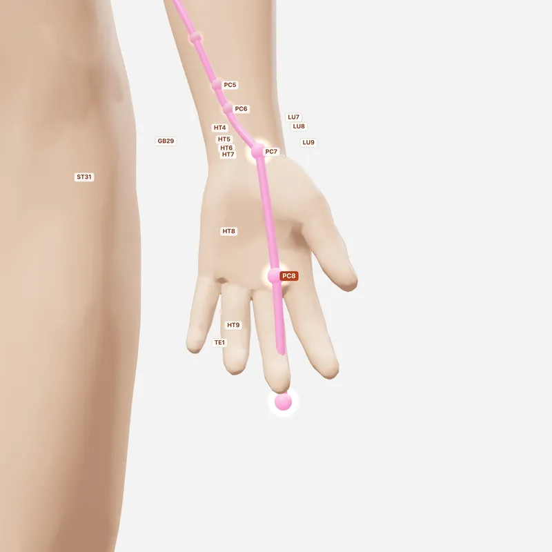 Huyệt Lao Cung — huyệt lân cận