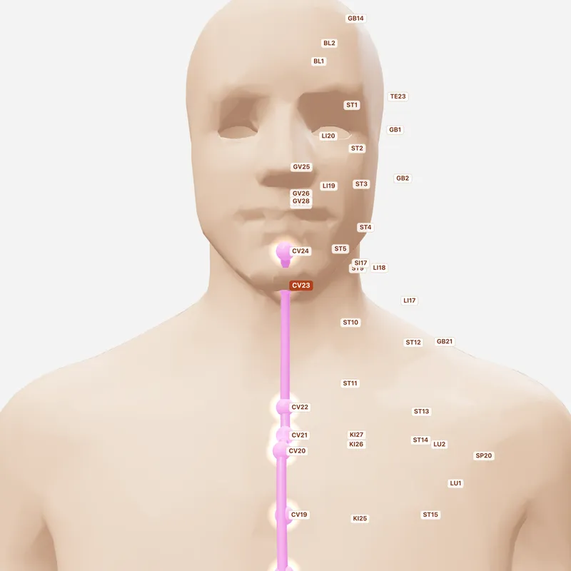 Huyệt Liêm Tuyền — huyệt lân cận