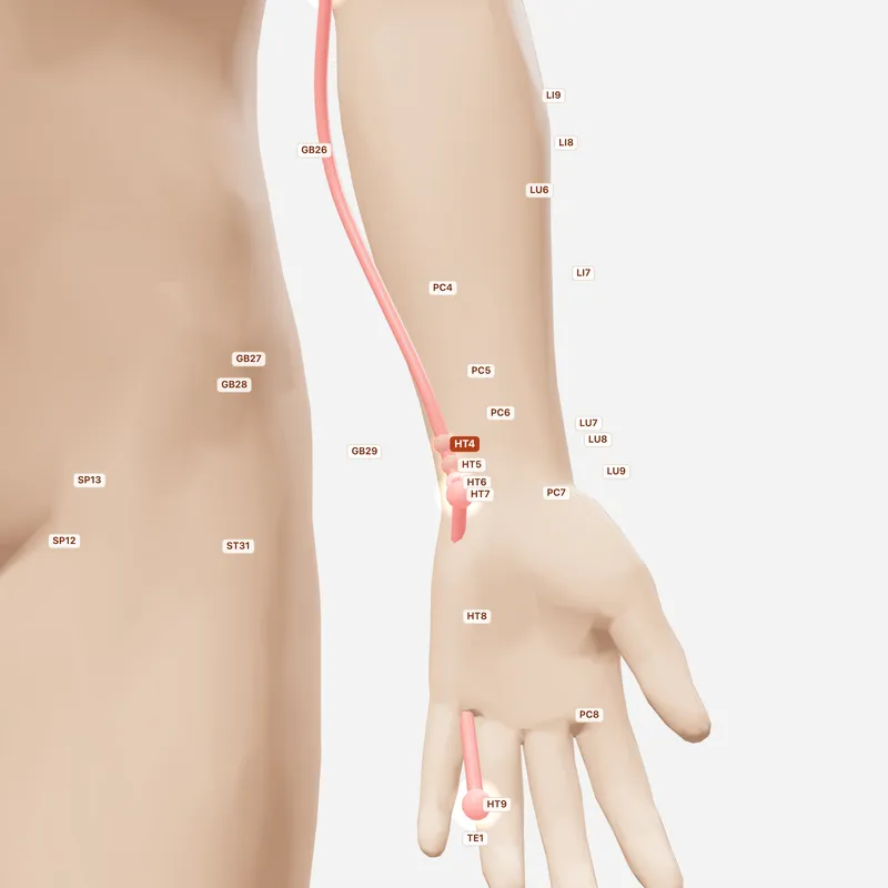 Huyệt Linh Đạo — huyệt lân cận