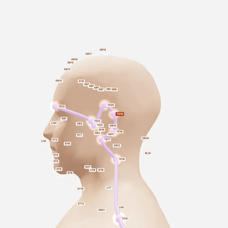 Huyệt Lư Tức — huyệt lân cận
