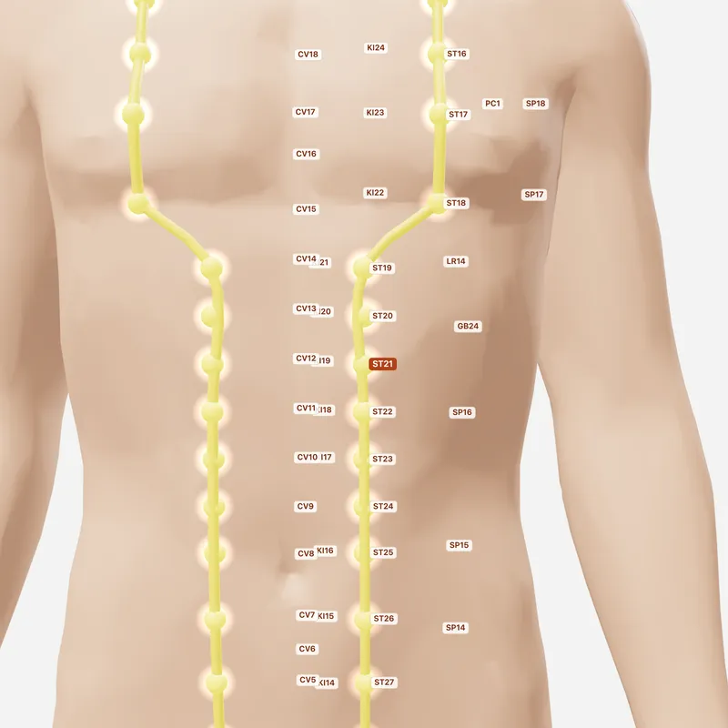 Huyệt Lương Môn — huyệt lân cận