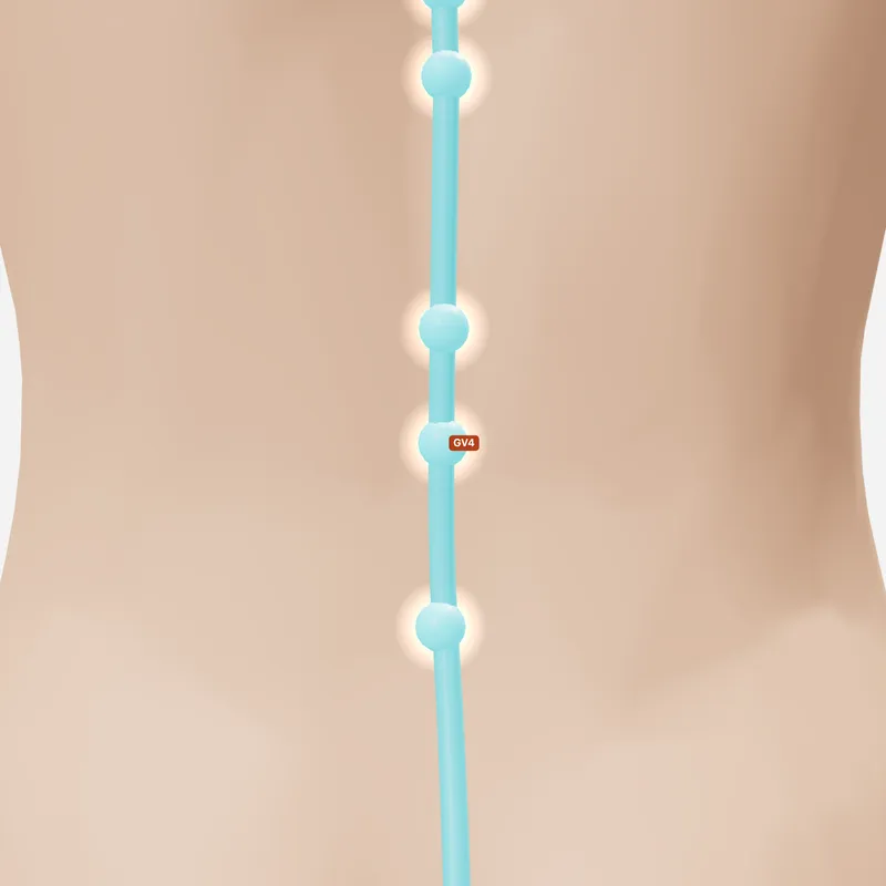 Huyệt Mệnh Môn — trên da