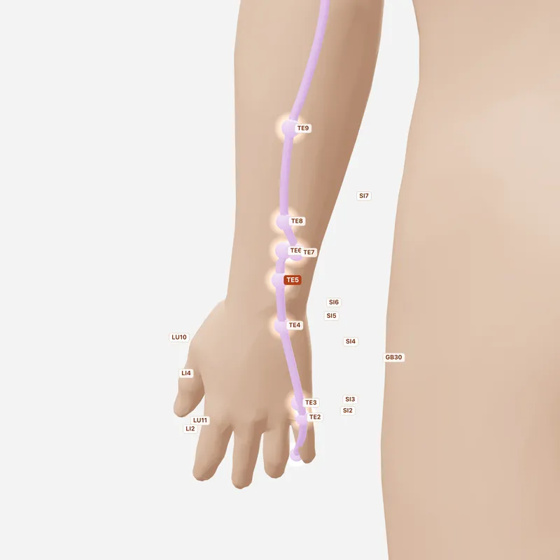 Huyệt Ngoại Quan — huyệt lân cận