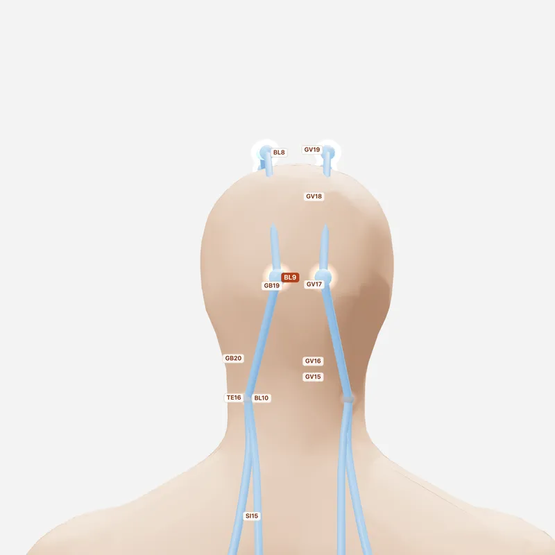 Huyệt Ngọc Chẩm — huyệt lân cận