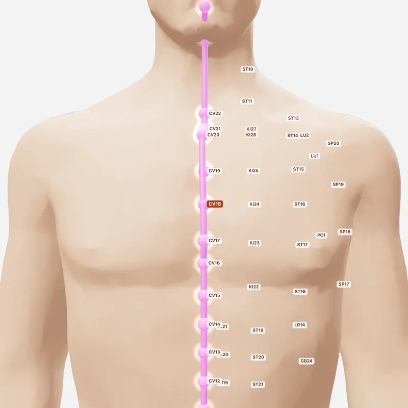 Huyệt Ngọc Đường — huyệt lân cận