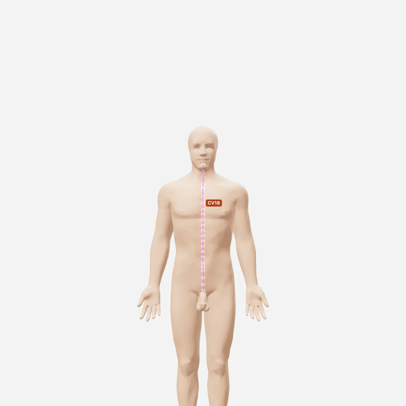Huyệt Ngọc Đường — toàn đường kinh