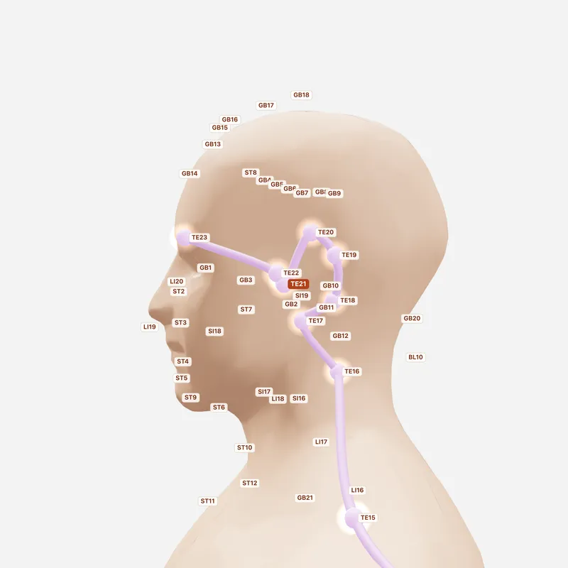 Huyệt Nhĩ Môn — huyệt lân cận