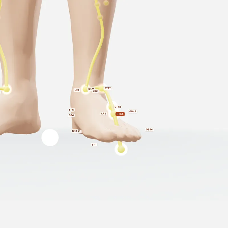 Huyệt Nội Đình — huyệt lân cận