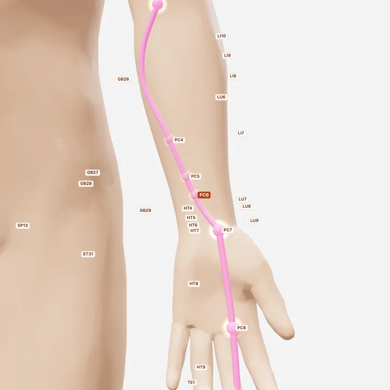 Huyệt Nội Quan — huyệt lân cận