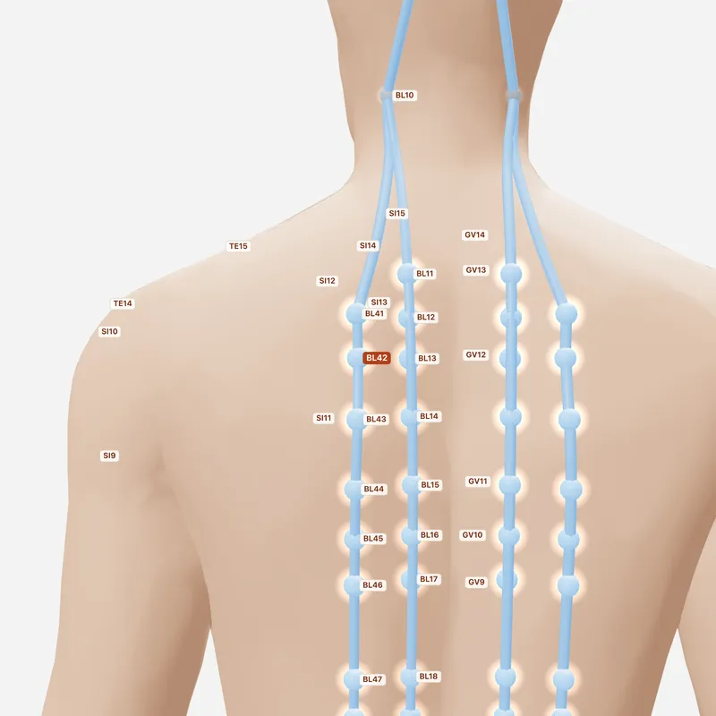 Huyệt Phách Hộ — huyệt lân cận