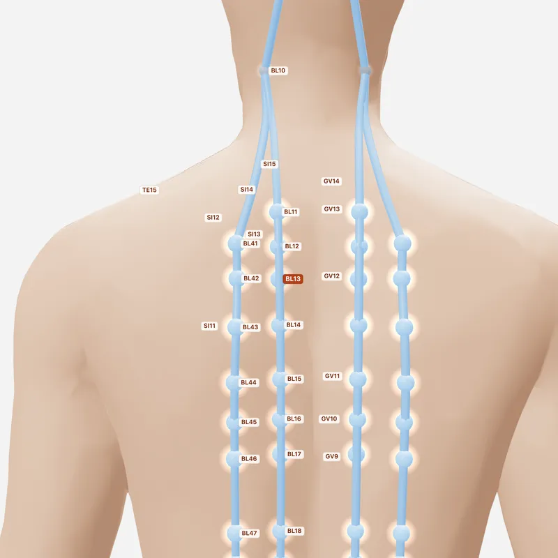 Huyệt Phế Du — huyệt lân cận