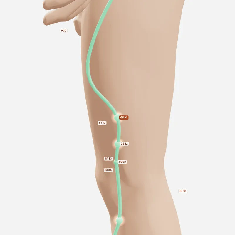 Huyệt Phong Thị — huyệt lân cận