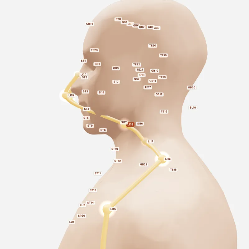 Huyệt Phù Đột — huyệt lân cận