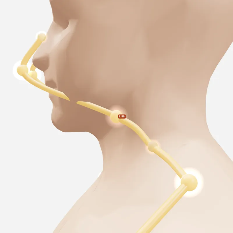Huyệt Phù Đột — trên da
