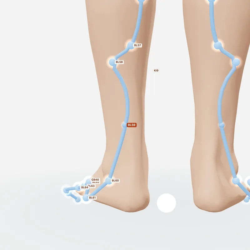 Huyệt Phụ Dương — huyệt lân cận