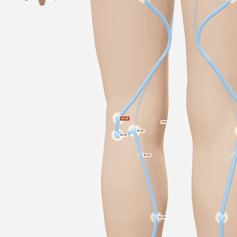 Huyệt Phù Khích — huyệt lân cận
