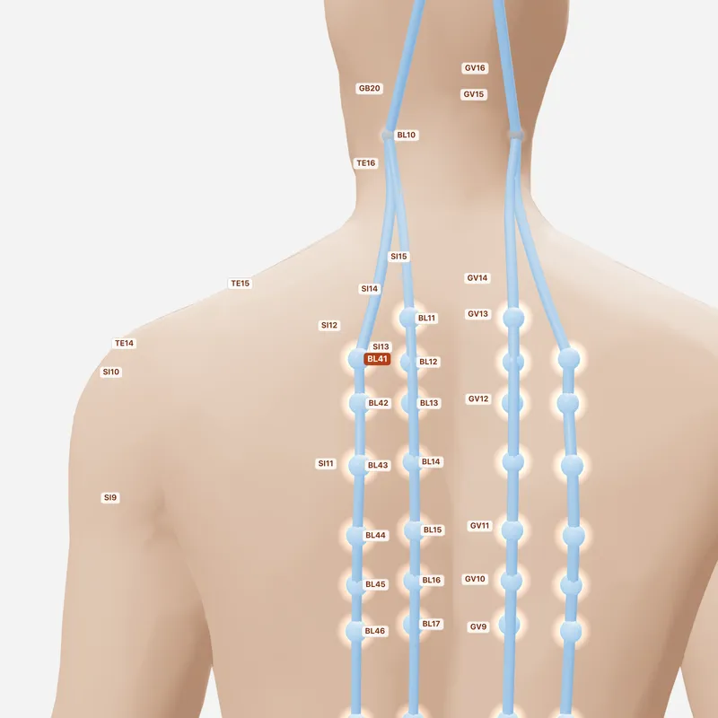 Huyệt Phụ Phân — huyệt lân cận