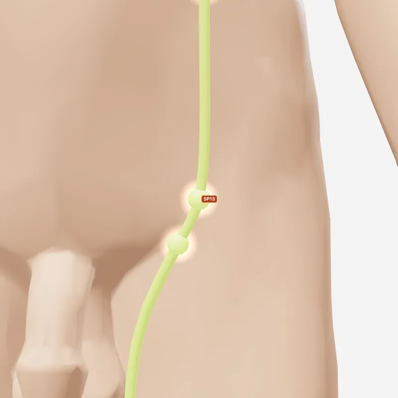 Huyệt Phủ Xá — trên da