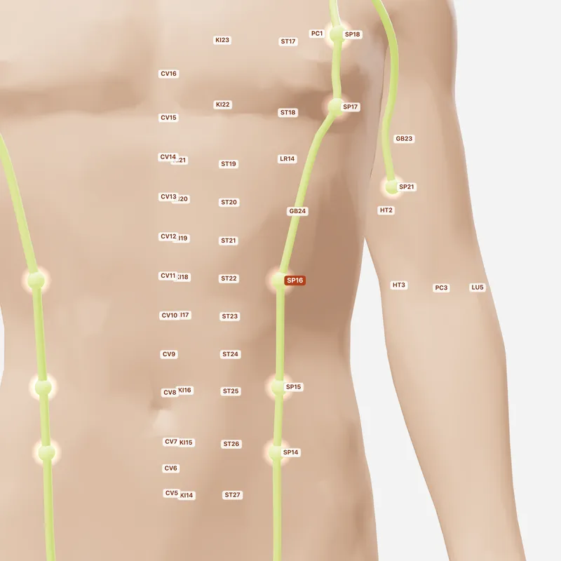 Huyệt Phúc Ai — huyệt lân cận