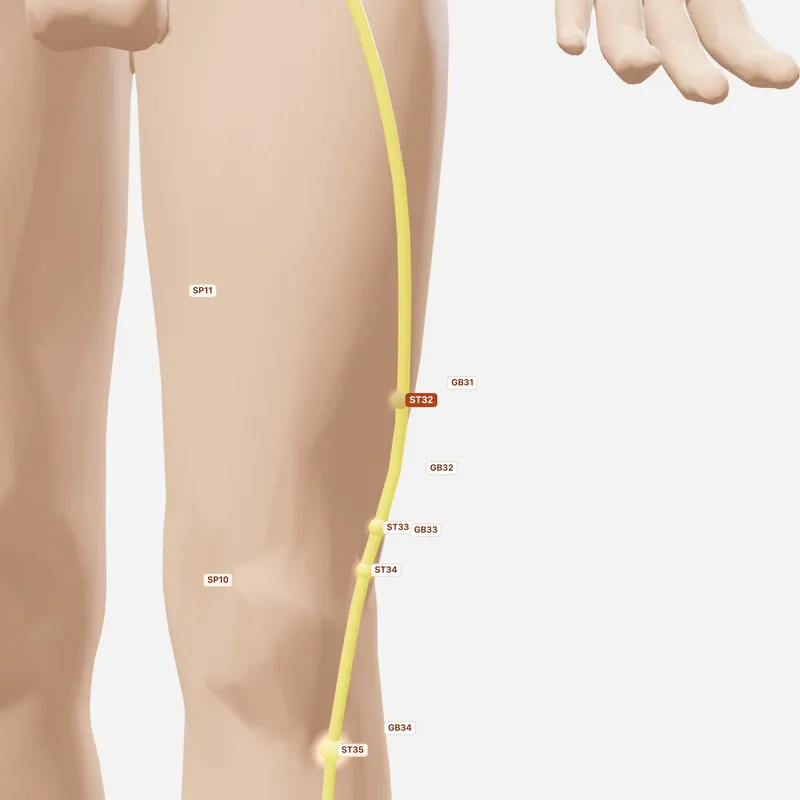 Huyệt Phục Thố — huyệt lân cận