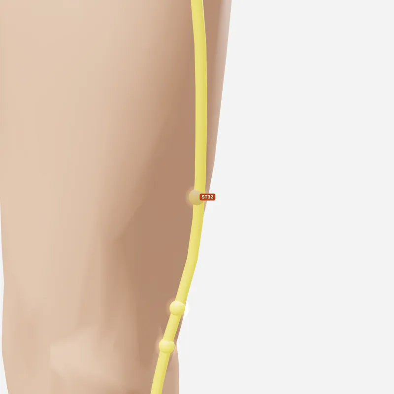 Huyệt Phục Thố — trên da