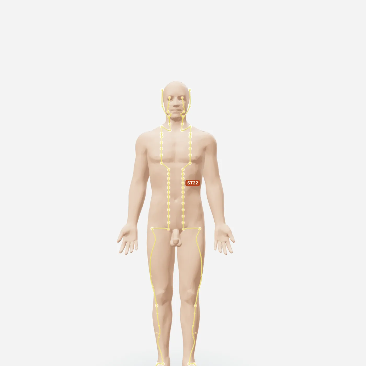 Huyệt Quan Môn — toàn đường kinh