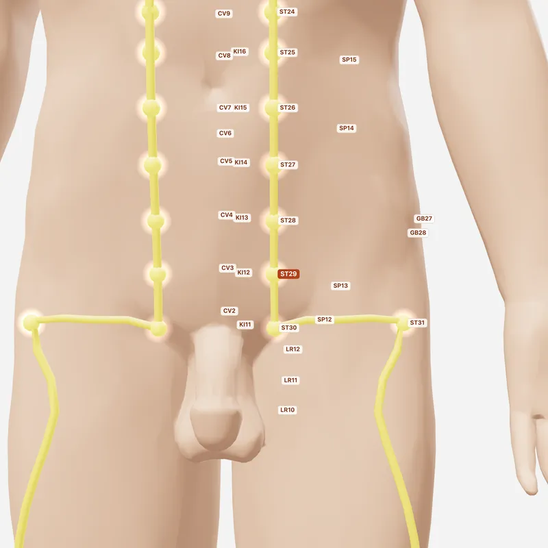 Huyệt Quy Lai — huyệt lân cận