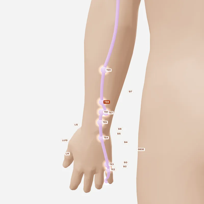 Huyệt Tam Dương Lạc — huyệt lân cận