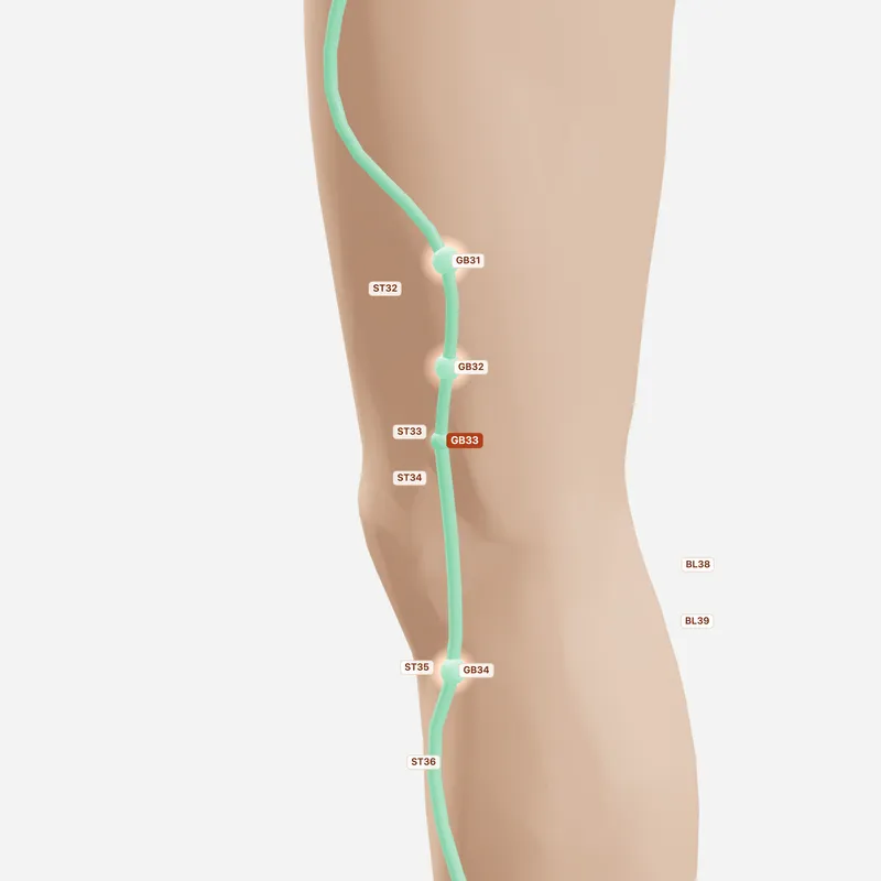 Huyệt Tất Dương Quan — huyệt lân cận