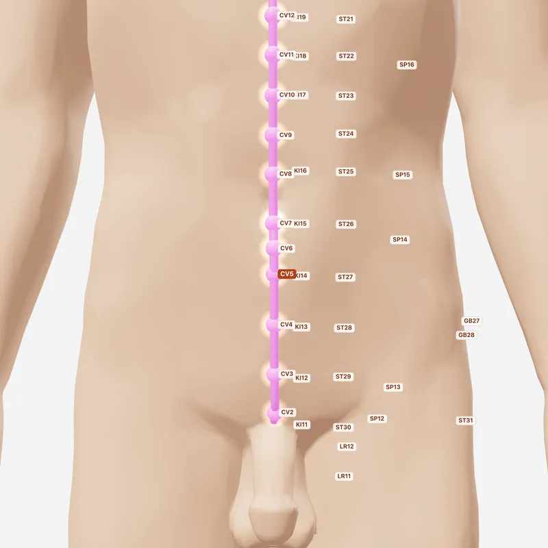Huyệt Thạch Môn — huyệt lân cận