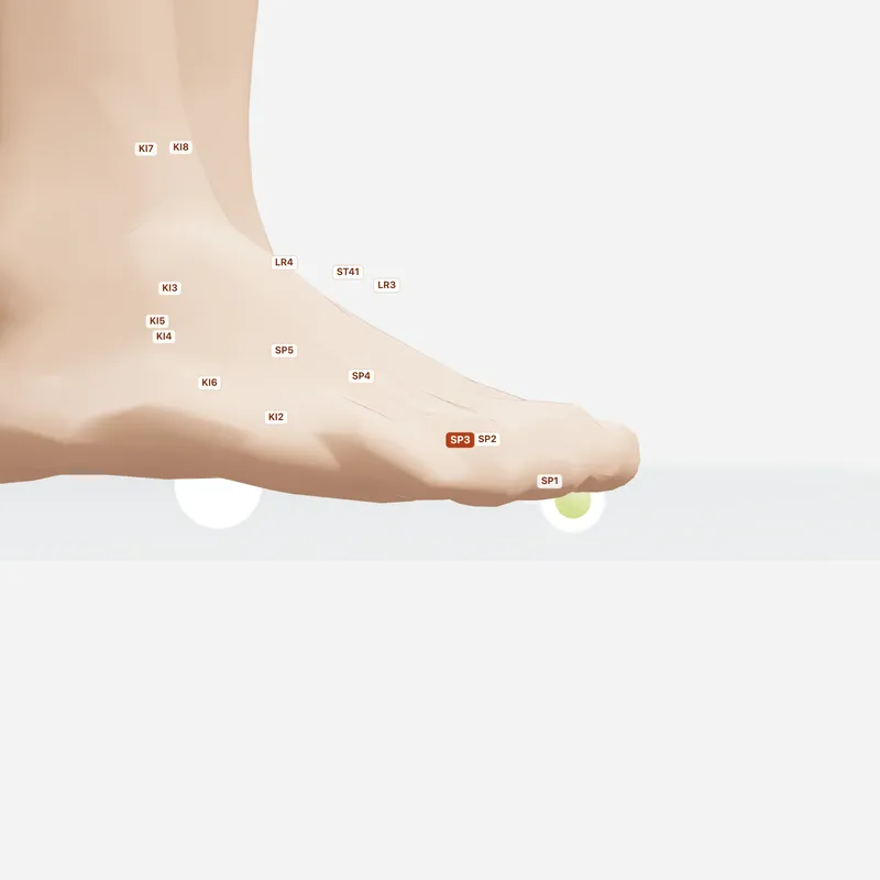 Huyệt Thái Bạch — huyệt lân cận