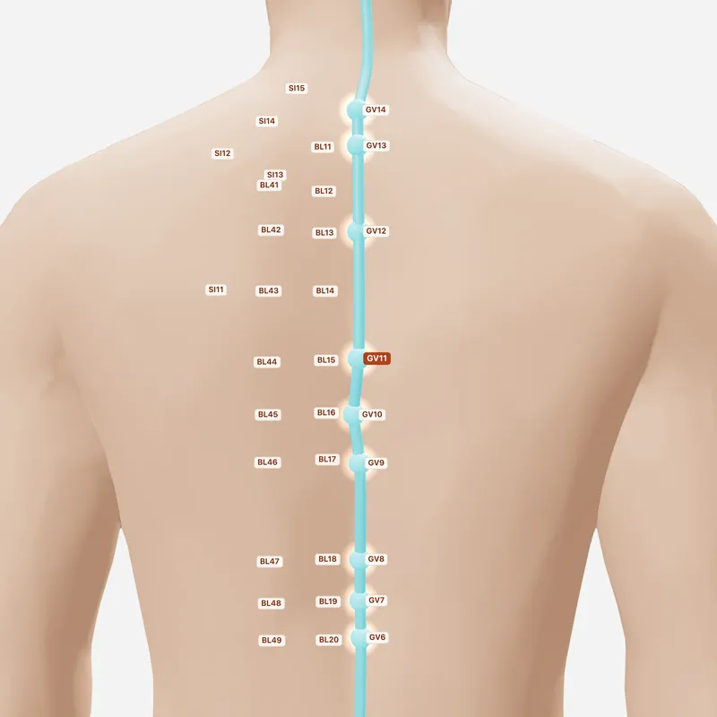 Huyệt Thần Đạo — huyệt lân cận