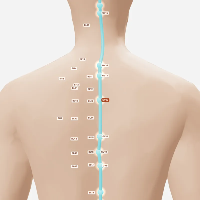 Huyệt Thân Trụ — huyệt lân cận