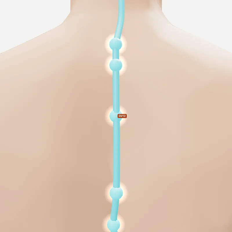 Huyệt Thân Trụ — trên da