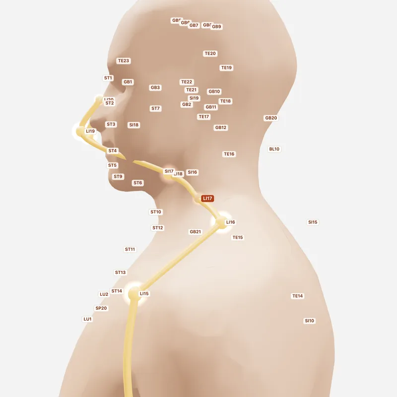 Huyệt Thiên Đỉnh — huyệt lân cận