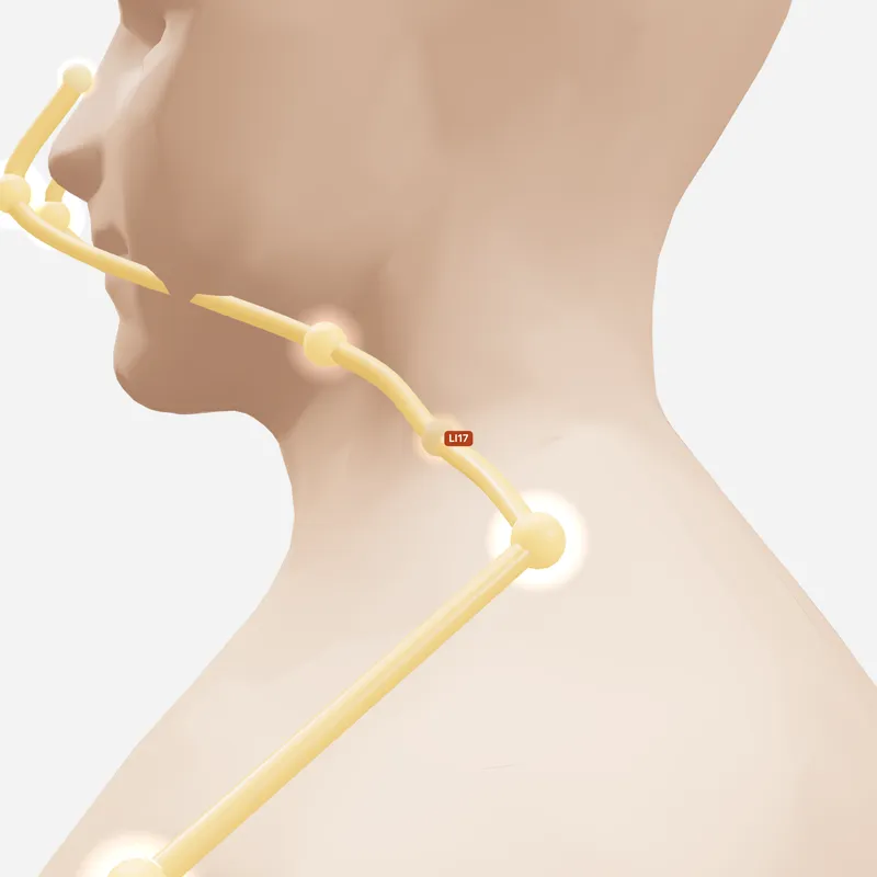 Huyệt Thiên Đỉnh — trên da