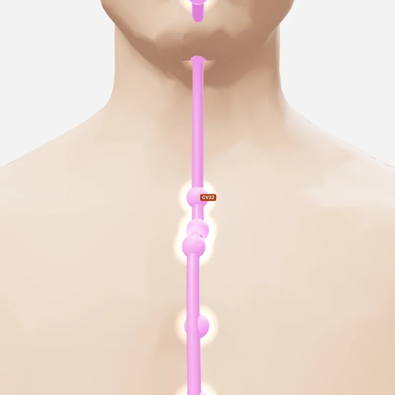 Huyệt Thiên Đột — trên da