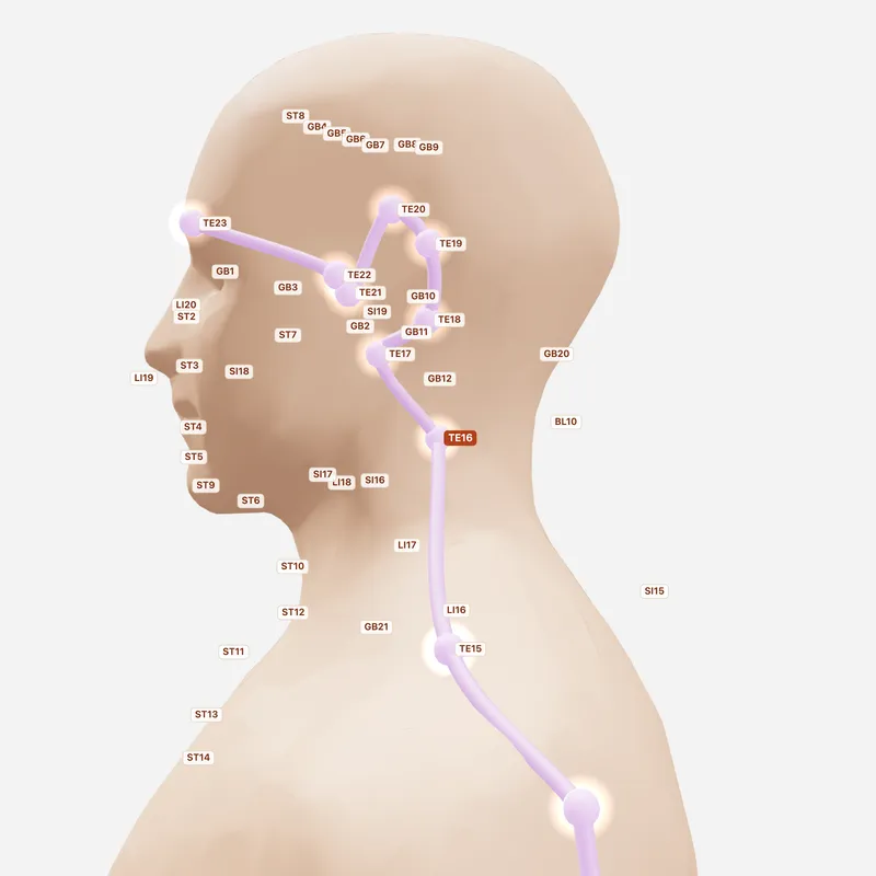 Huyệt Thiên Dũ — huyệt lân cận