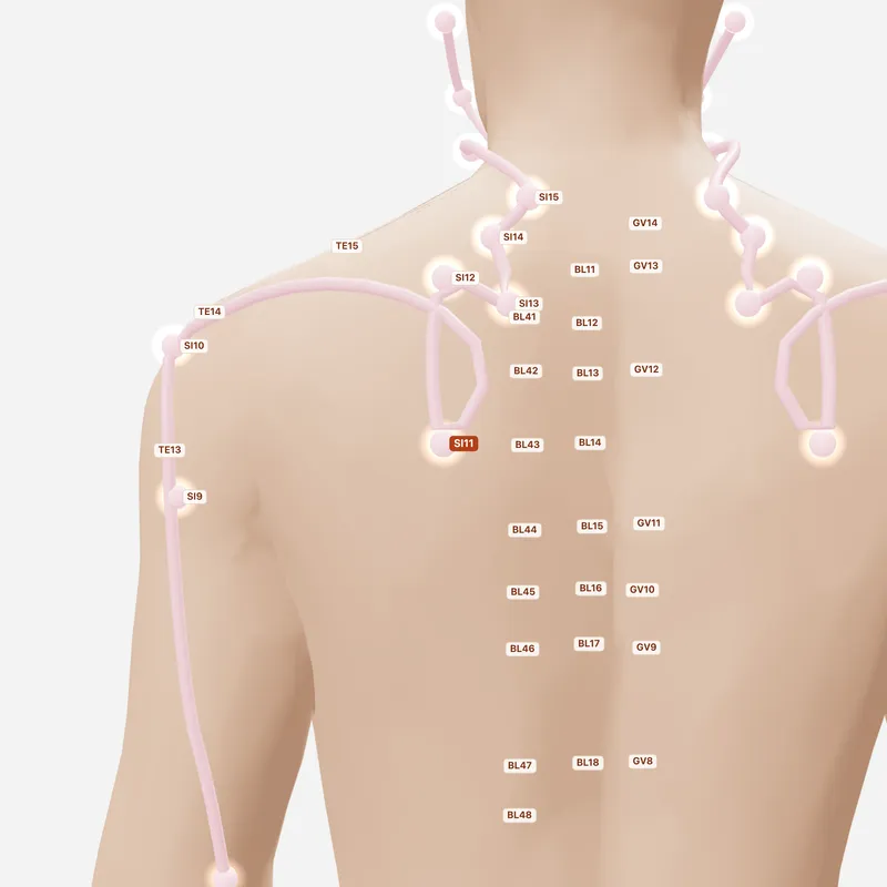 Huyệt Thiên Tông — huyệt lân cận
