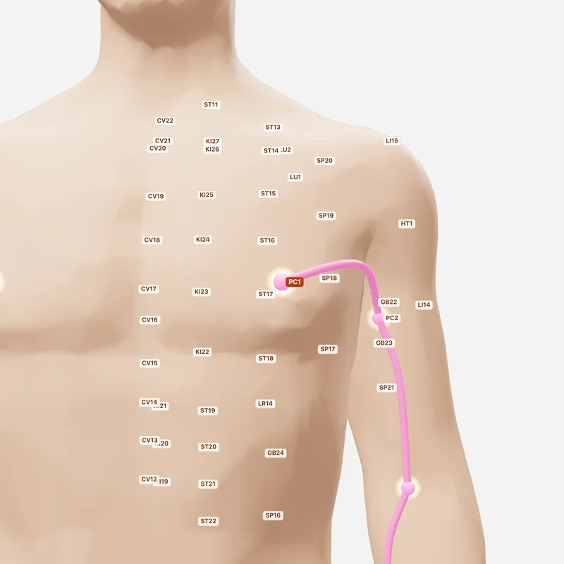 Huyệt Thiên Trì — huyệt lân cận