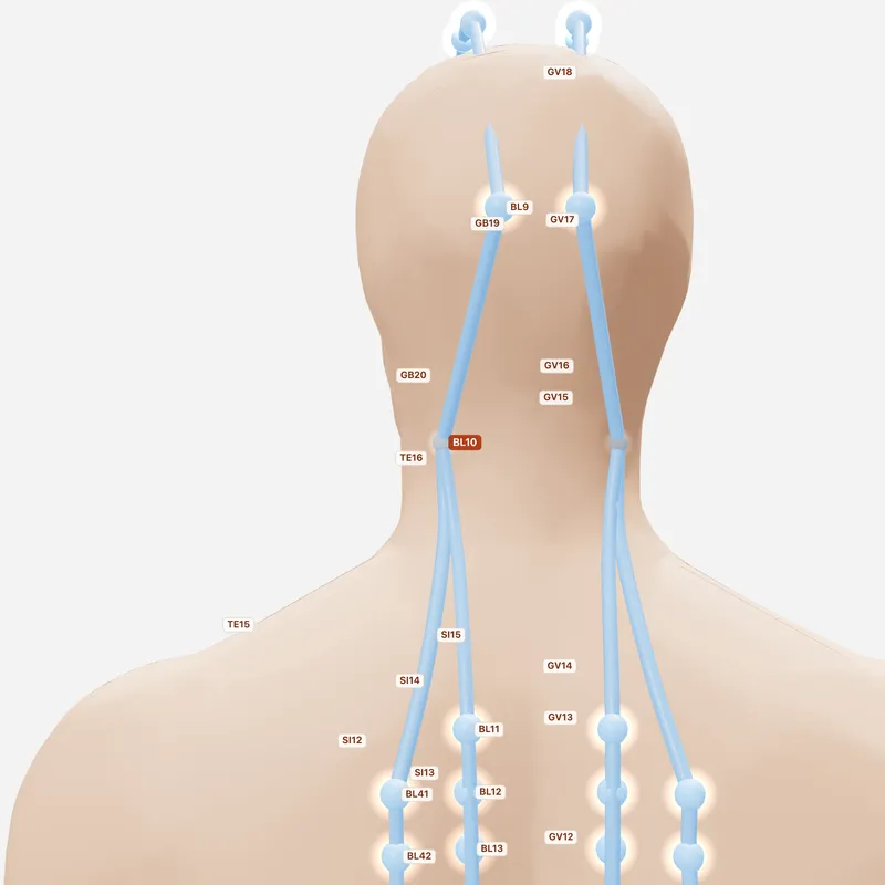 Huyệt Thiên Trụ — huyệt lân cận