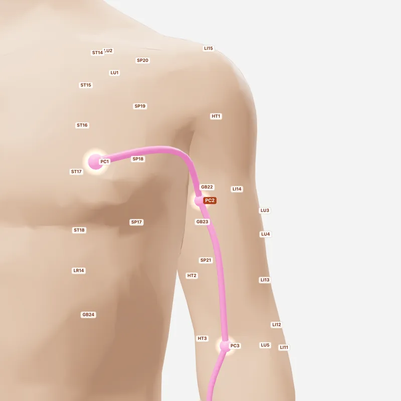 Huyệt Thiên Tuyền — huyệt lân cận