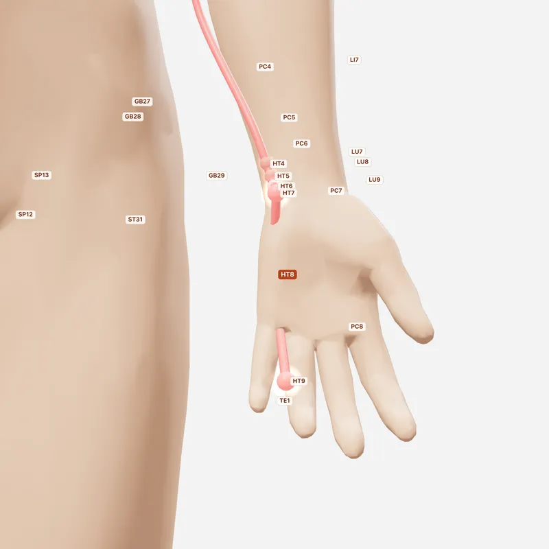 Huyệt Thiếu Phủ — huyệt lân cận
