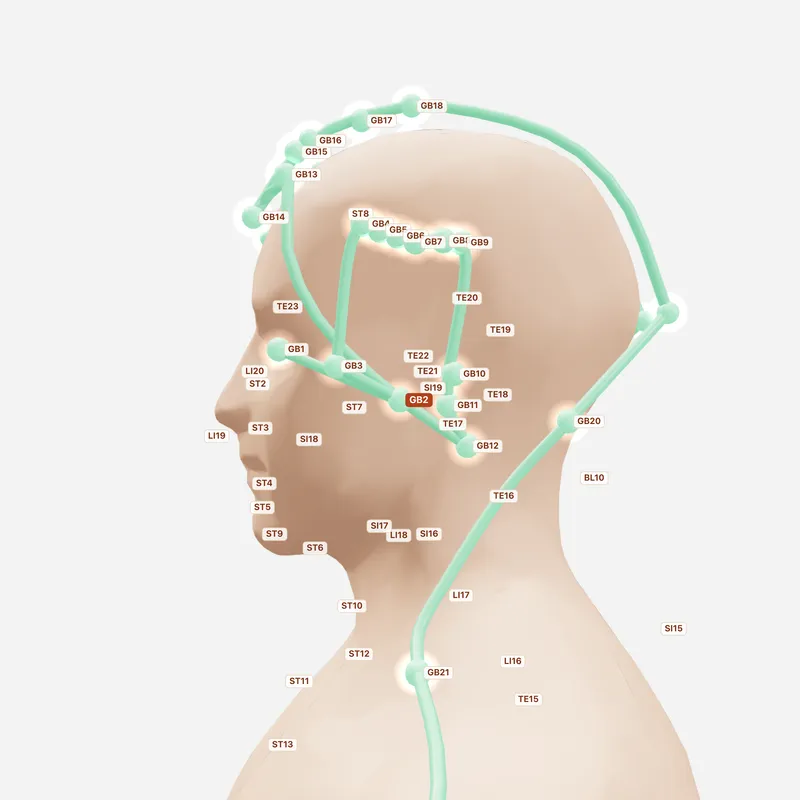 Huyệt Thính Hội — huyệt lân cận