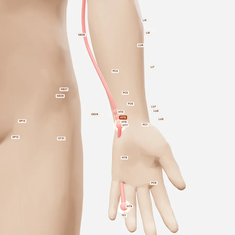 Huyệt Thông Lý — huyệt lân cận
